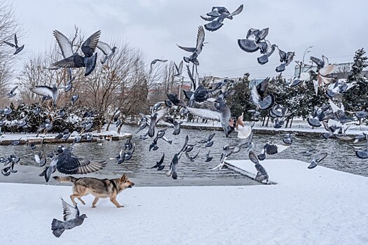 Спасатели специально ломают лед на водоемах Краснодара