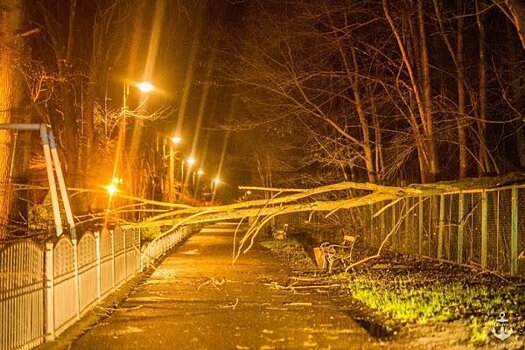 Более 21 тыс. человек остались без света в Польше из-за шквального ветра