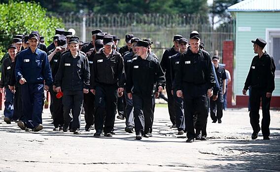 Из тюрьмы - на фронт, с фронта - в бега: "Условные" зэки на СВО - плюс или минус. Разбираемся
