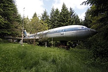 Пилот ювелирно посадил самолет посреди леса