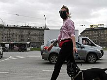 В Новосибирской области смягчат режим самоизоляции