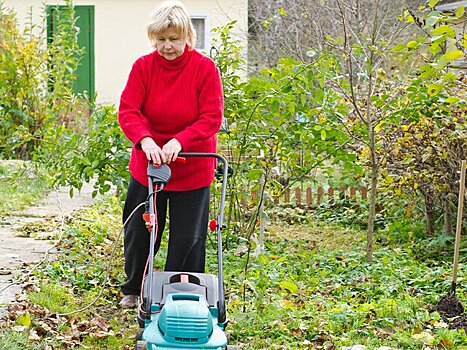 Эксперт Васецкий: перед заморозками нужно успеть провести стрижку газона