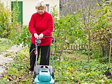 Эксперт Васецкий: перед заморозками нужно успеть провести стрижку газона