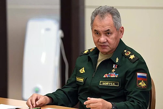 Шойгу обсудил с иранским, турецким и сирийским коллегами ситуацию в Сирии