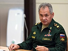 Шойгу обсудил с иранским, турецким и сирийским коллегами ситуацию в Сирии