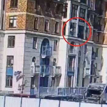 Россиянка выбросила из окна семимесячного котенка