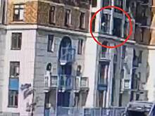 Россиянка выбросила из окна семимесячного котенка