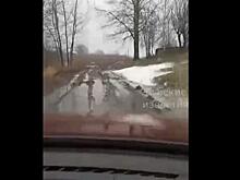 Жители села Хмелевого Курской области не могут проехать к кладбищу