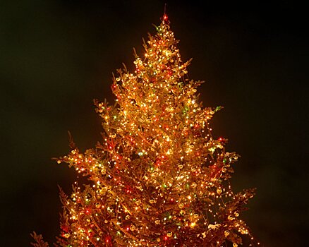 В Адыгее главную новогоднюю елку откроют 26 декабря