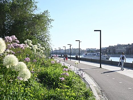 До 23 градусов тепла ожидается в Москве 18 апреля