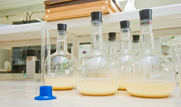 Межрегиональная конференция по нефтехимии прошла в Волгограде