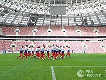 Печально известный русский хулиган: после чемпионата все будет по-старому