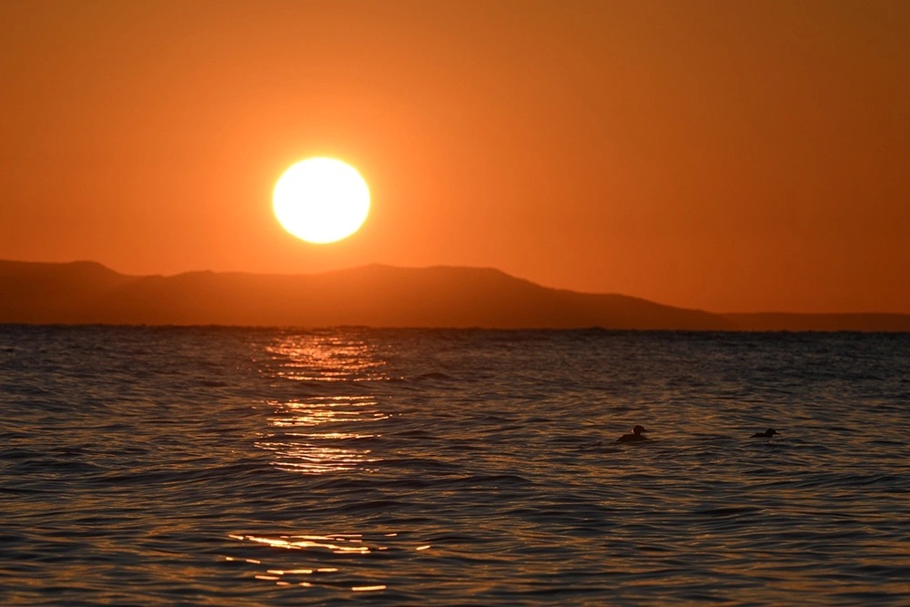 �&nbsp; ��� ����������, ��� ��������� ��������� ������� �� ������