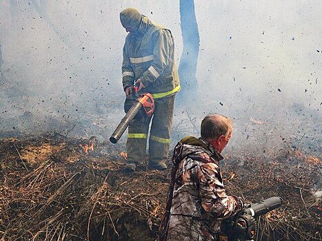 Прошлый год признали самым жарким за всю историю наблюдений: почему пожаров стало меньше?