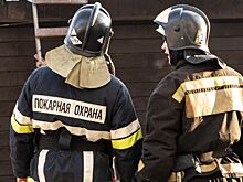 В страшном пожаре под Волгоградом погибли мать и сын