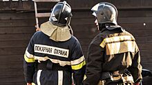 В страшном пожаре под Волгоградом погибли мать и сын