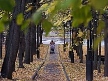 Заморозки до минус 2 градусов ожидаются в Подмосковье