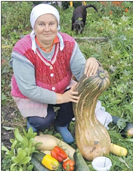 Жительница Лосинки вырастила гигантскую тыкву
