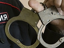 В Петербурге задержаны подозреваемые, облившие зеленкой подмосковного адвоката Понамареву