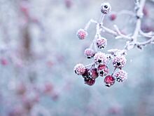 Нельзя носить черное и ссориться: приметы на 25 декабря
