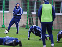 Агент Петреску — о возможном назначении румынского тренера в «Динамо»: «Дан был бы хорошим кандидатом и хочет вернуться в Россию»