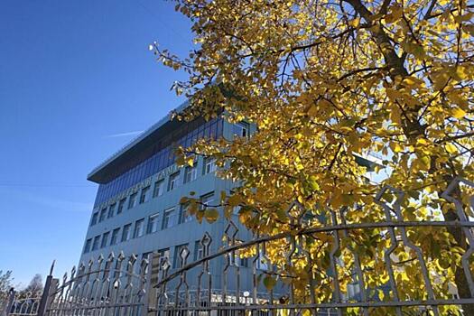 Таможенники Владимирской области возбудили 13 уголовных дел за незаконное перемещение товаров с начала года