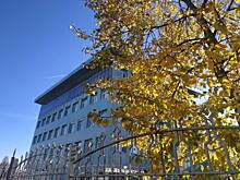 Таможенники Владимирской области возбудили 13 уголовных дел за незаконное перемещение товаров с начала года