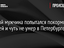 Пьяный мужчина попытался покормить голубей и чуть не умер в Петербурге