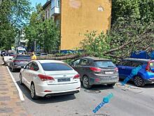 В Ростове огромное дерево упало на автомобили и перегородило дорогу
