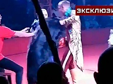 Дрессировщица назвала возможные причины нападения медведя на ассистентку в орловском цирке