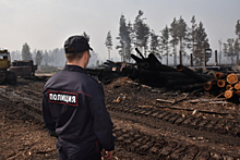 Министерство внутренних дел по Республике Марий Эл принимает меры по оказанию помощи гражданам во время пожаров
