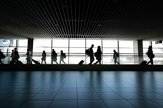 МВД предлагает ввести новые типы виз для въезда иностранцев