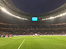 Гордюшина: "Лужники" можно эвакуировать за восемь минут, но мозги МВД перестроить не удаётся"