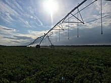 В Башкирии потратят более 1 млрд рублей на строительство мелиоративных систем