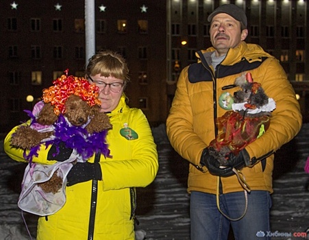 Конкурс новогодних костюмов для собак прошел в Оленегорске