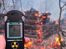 Задержан предполагаемый виновник пожара в Чернобыле