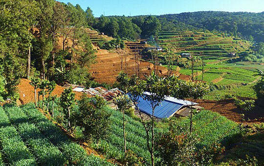 Заглавное изображение Нувара Элия