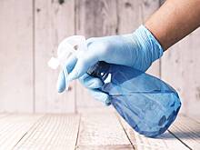 Названы четыре подручных средства от плесени дома