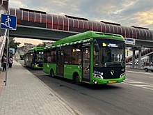 В Курской области за полгода автобусы перевезли 37,3 миллиона пассажиров