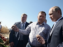 «Нам, обычным фермерам от антисанкций лучше не стало». Стоит ли США бояться продовольственного эмбарго со стороны России?