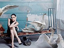 Диана Вишнева получила премию американского журнала Dance Magazine