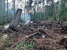 С авиакомпании "Ангара" потребовали компенсацию за уничтоженный в авиакатастрофе лес