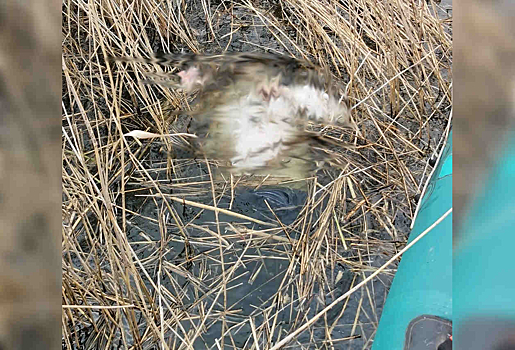 Пропавший на 9 мая сибиряк найден мертвым в озере