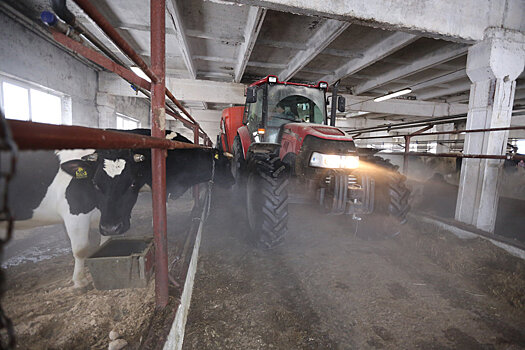 Почему самоуправление разоряет свердловских фермеров