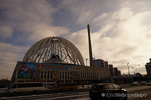 Свердловские власти могут забрать цирк себе