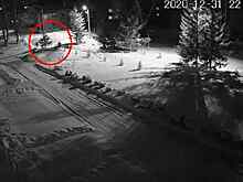 Вандалы срубили елку на аллее героев ВОВ в Искитиме