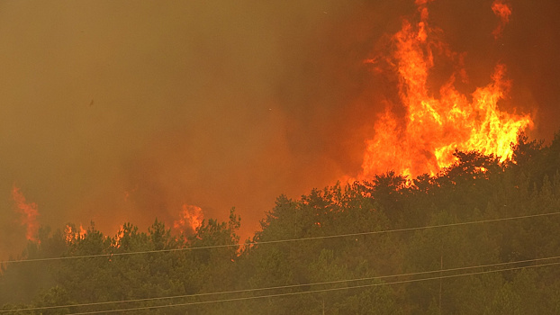 Горят не только путёвки: лесные пожары в Турции подступают к курортам. Стоит ли отменять отпуск