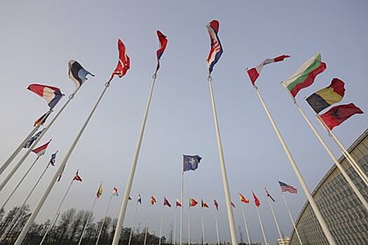 Министры обороны стран НАТО встретятся в День всех влюбленных