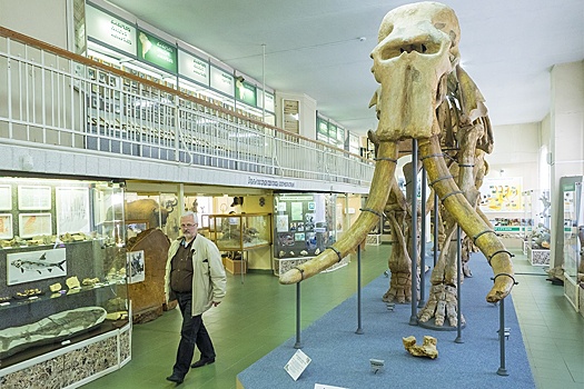 Чем Ставрополь способен удивить гостей в новогодние праздники