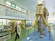 Чем Ставрополь способен удивить гостей в новогодние праздники